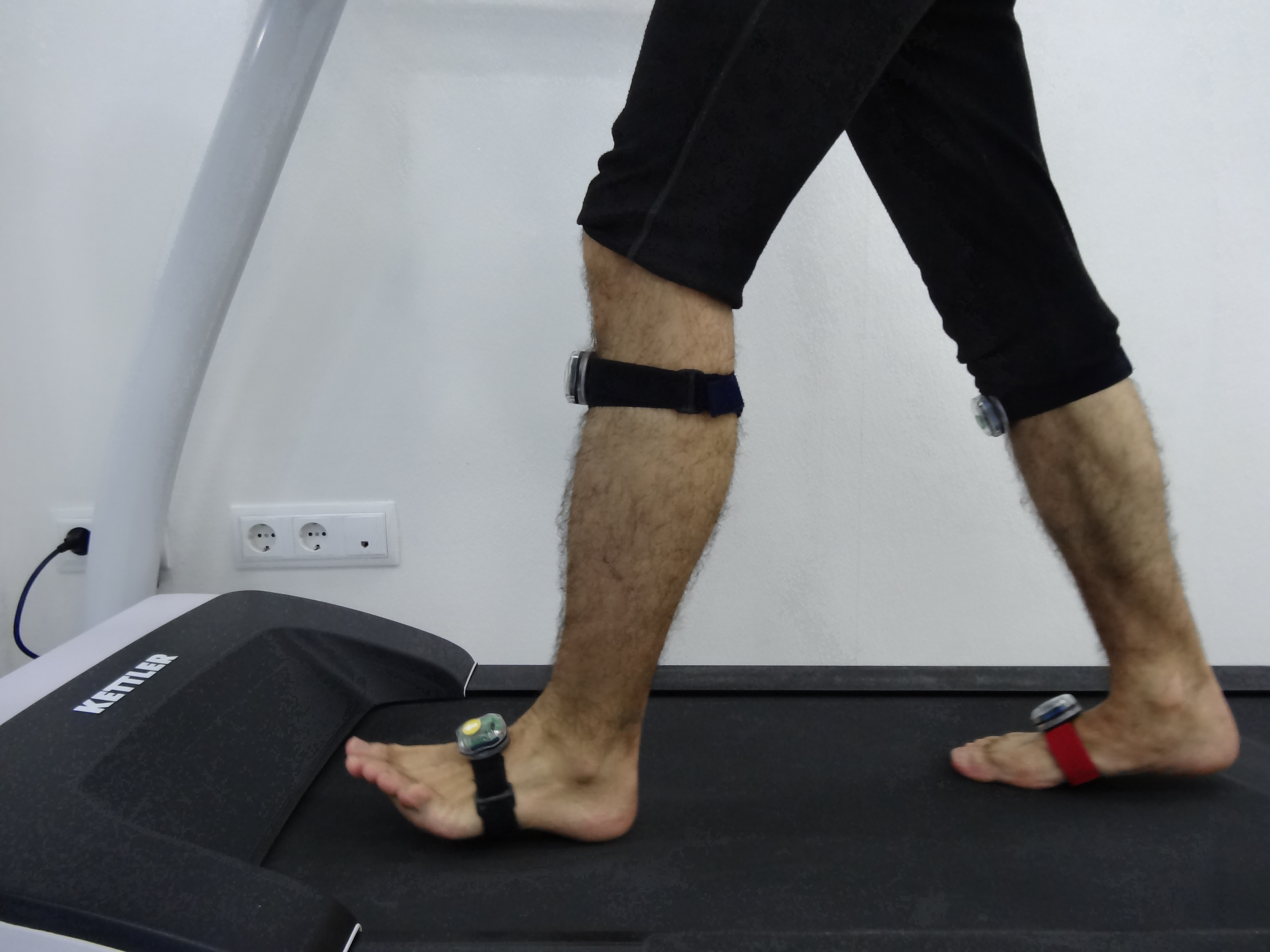 Estudios Biomecánicos